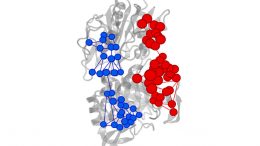 A New Tool For Understanding Enzymes