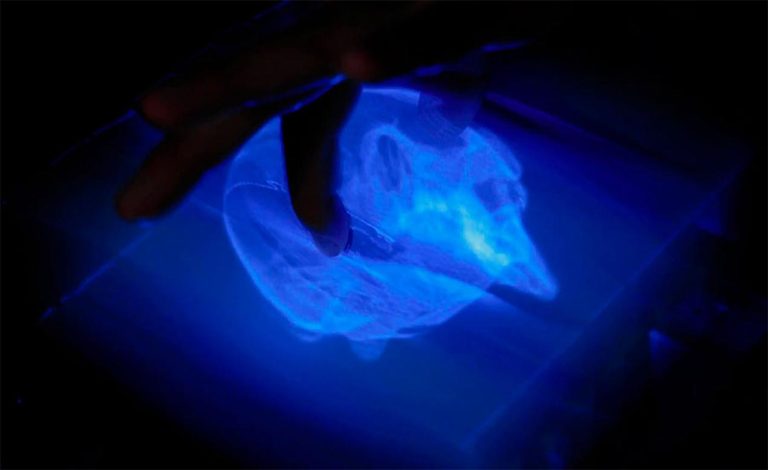 No Longer Science Fiction: Scientists Develop First-Ever Touchable 3D ...