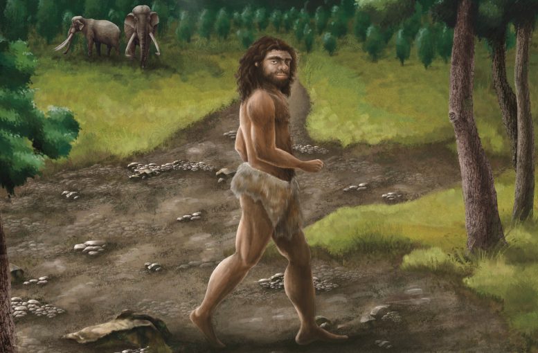 A Robust Male Denisovan Individual Was Walking Under the Bright Sun