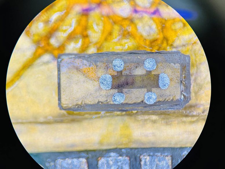 A Sample of a Thin Film of the Compound FeTe