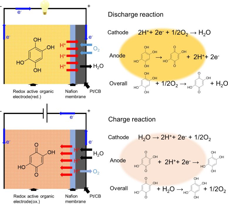 A Schematic Representation of the Simplified Cell Configuration and Cell Reactions of the Dihydroxy Benzoquinone Based Solid State Air Battery