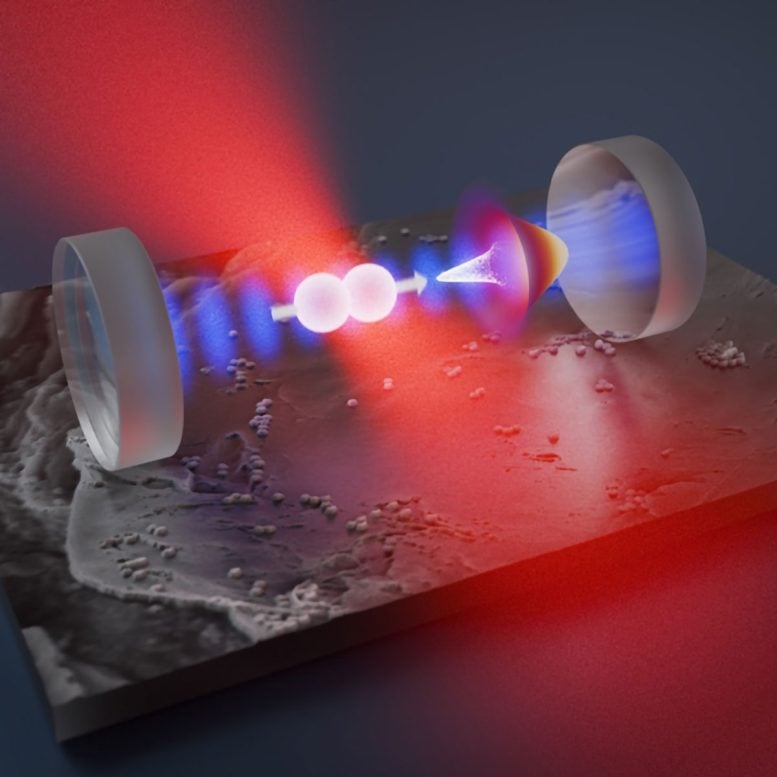 A Silica Nanorotor Is Trapped by an Optical Tweezer Inside an Optical Resonator