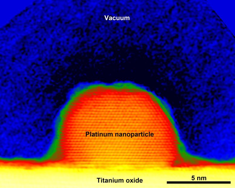 A Single Platinum Nanoparticle Observed by Electron Holography