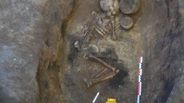 A Skeleton From the Nepluyevsky Site