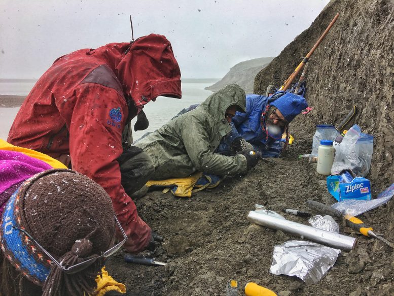 A Team of Paleontologists Digs Along the Banks of the Colville River