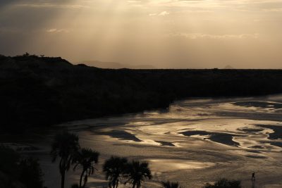 Scientists Discover “Shocking” 18-Million-Year-Old Secret Hidden in