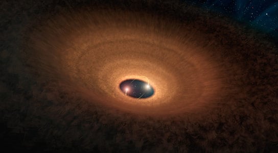 A Young Stellar System That Blinks Every 93 Days