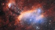 A new Image of the Prawn Nebula