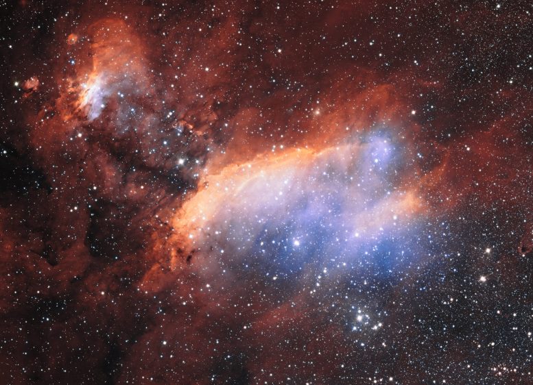 A new Image of the Prawn Nebula