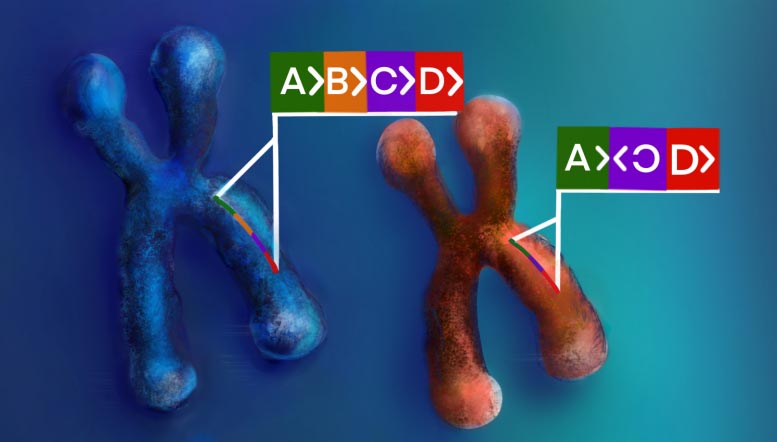 Stanford's AI Breakthrough Reveals New Genetic Clues to