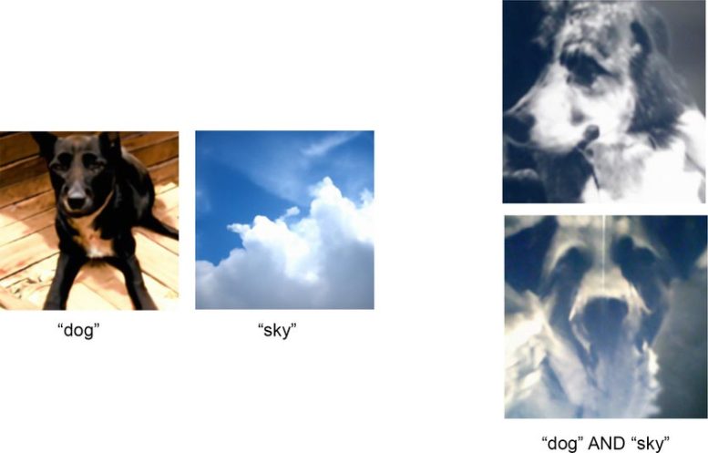 AI Generated Images Dog Sky
