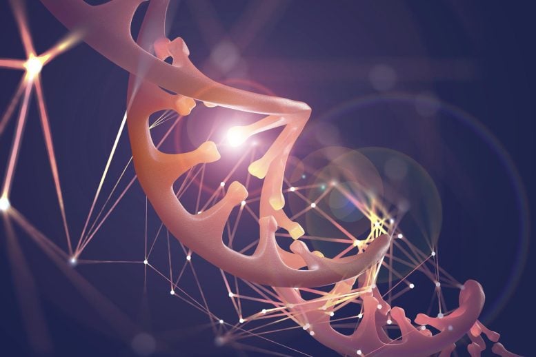 Researchers Unveil a 4D Blueprint of the Human Genome