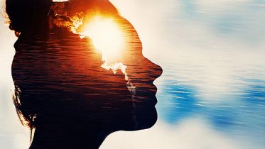 AI Helps Determine What Visual Neurons Like To See