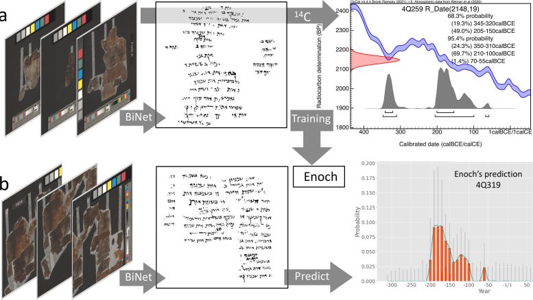 AI Powered Model Enoch Predicts Dead Sea Scrolls&rsquo; Age