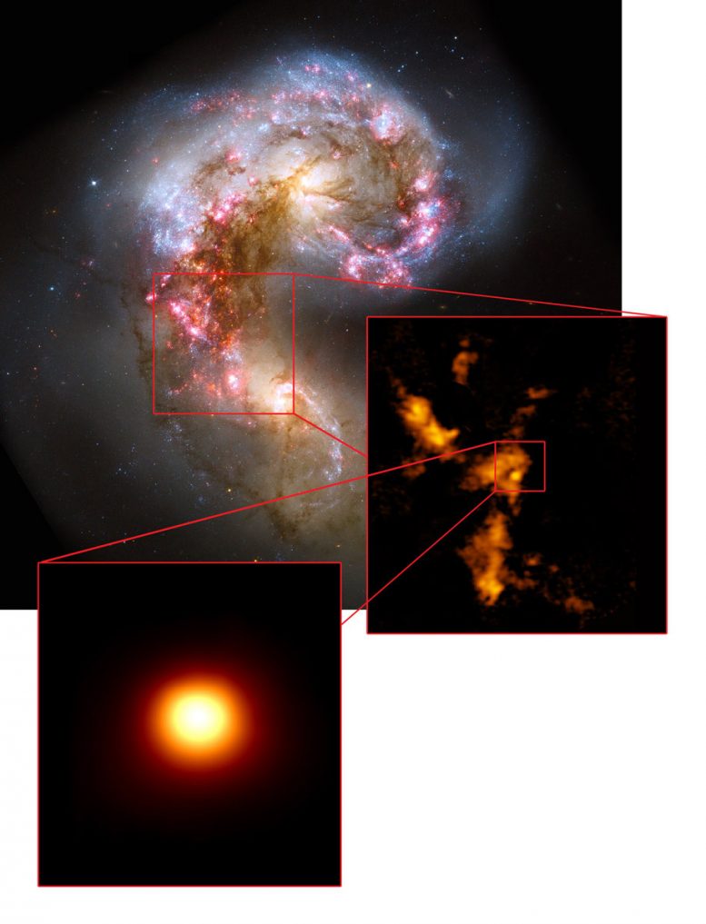 ALMA Discovers Proto Super Star Cluster