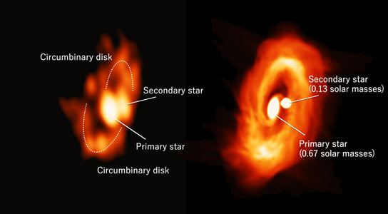 ALMA Identifies Gas Spirals as a Nursery of Twin Stars