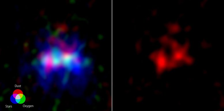 ALMA Observations Nebula MACS0416 Y1