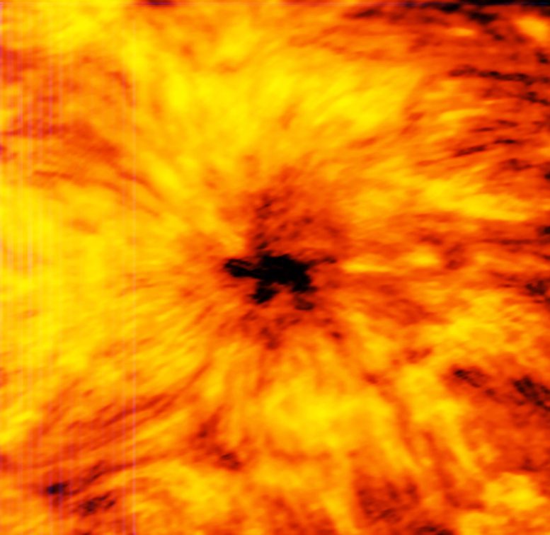 ALMA Observes a Giant Sunspot