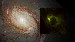 ALMA Views Rotating Dusty Gaseous Donut around an Active Supermassive Black Hole