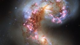 ALMA Views Shocked Gas in the Nuclear Region of Antennae Galaxies