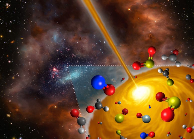 ALMA Views Stellar Cocoon with Curious Chemistry
