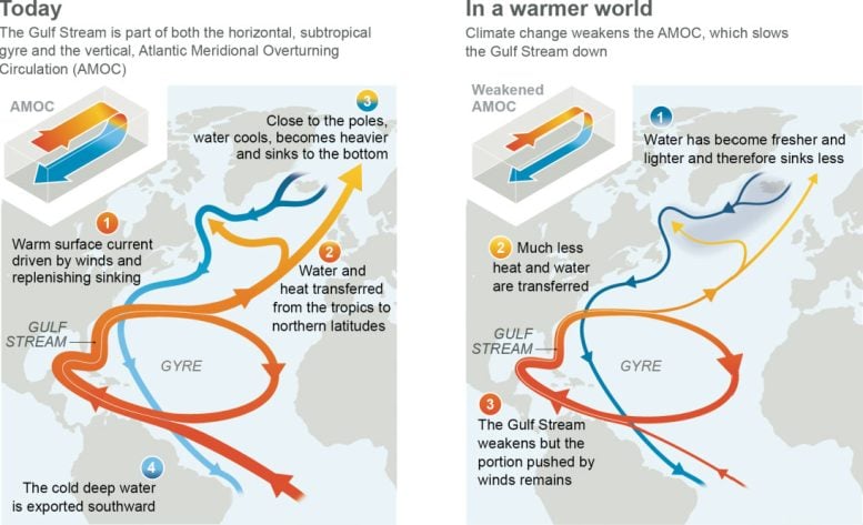 AMOC and Gulf Stream Under Global Warming