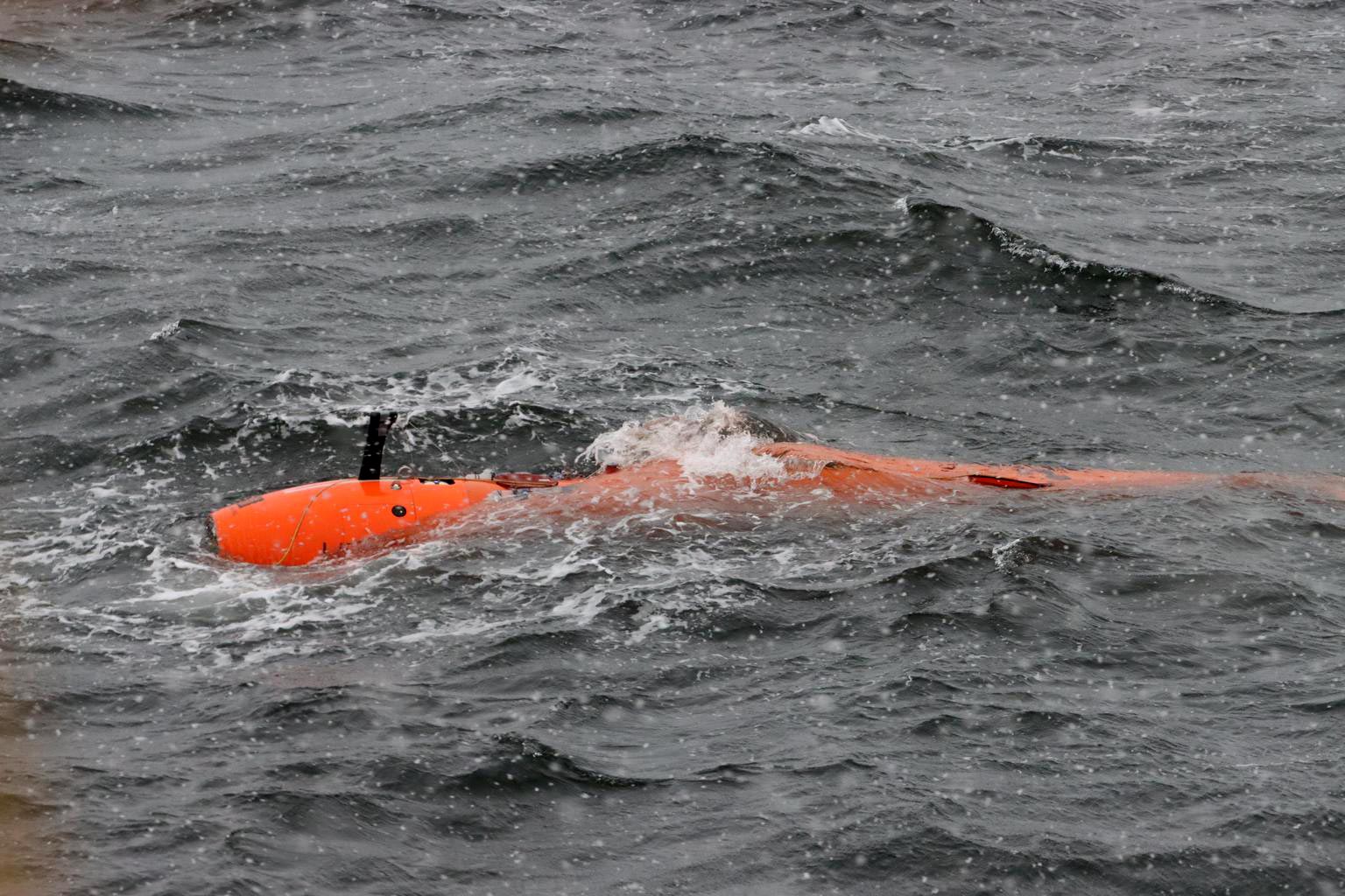 남극에서 수중 탐험가의 신비한 실종