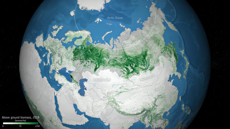 Above Ground Biomass in Russia