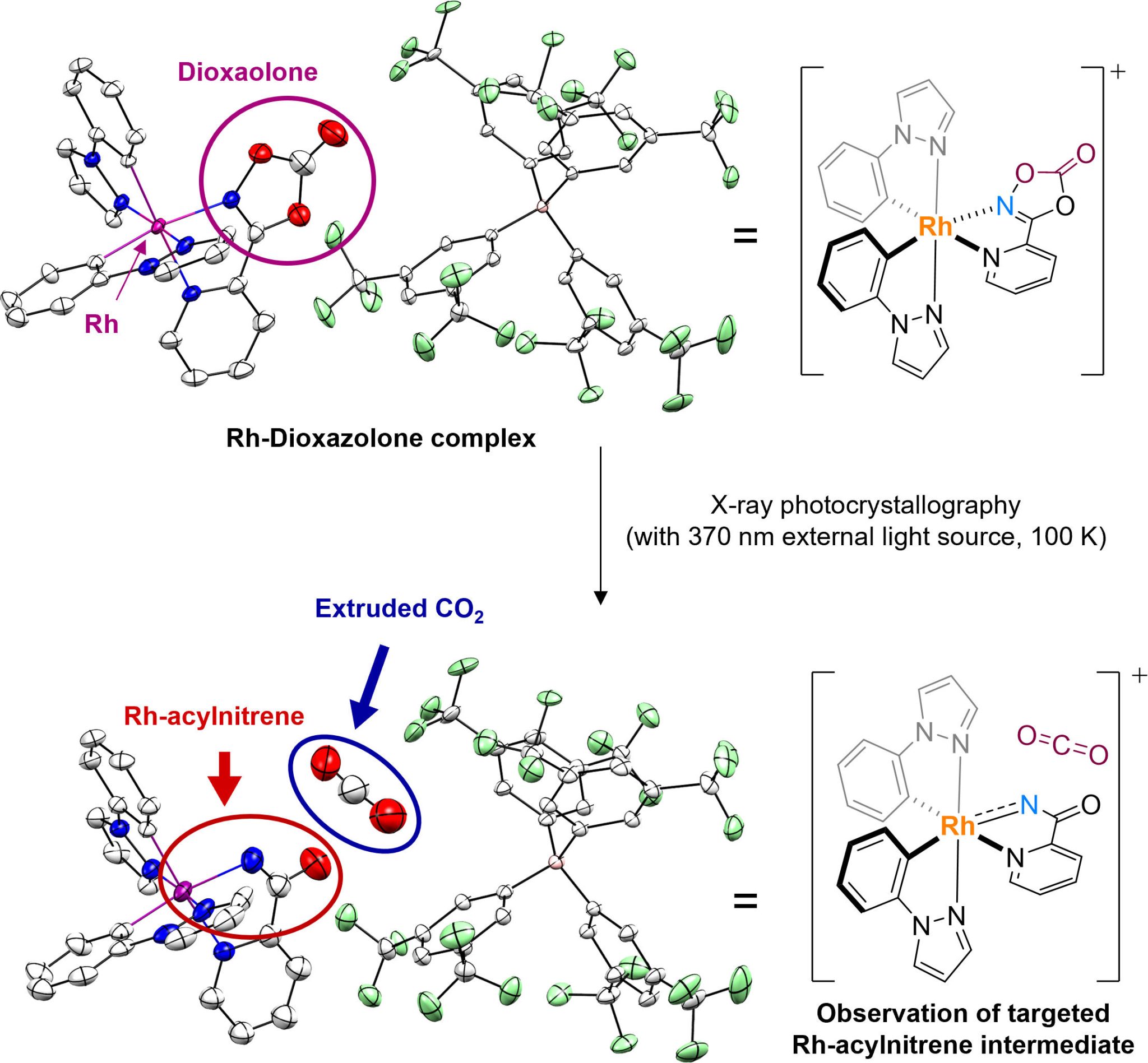 Catalytic Mysteries Unveiled FirstEver Observation of a “Difficult To