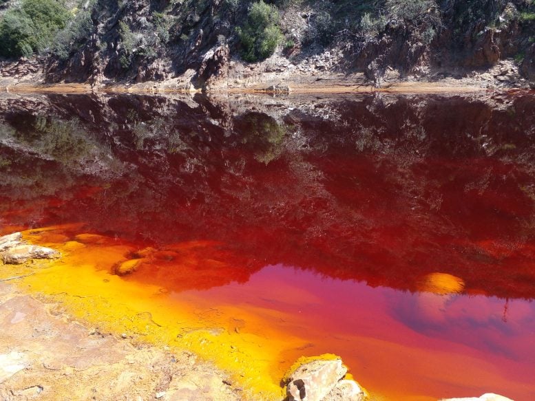 Acid Mine Drainage on the Rio Tinto in Southern Spain