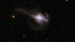 Active Galactic Nuclei and Star Formation