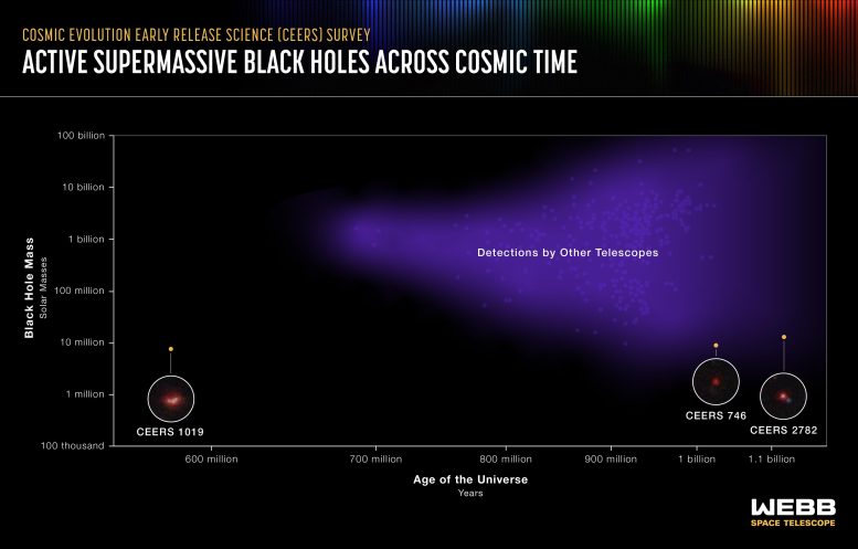 Active Supermassive Black Holes Across Cosmic Time