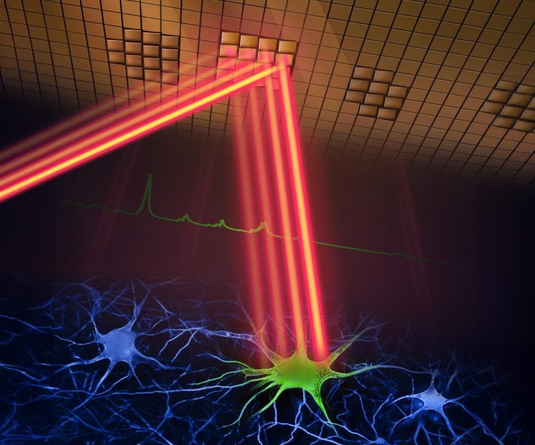 Dwufotonowy mikroskop fluorescencyjny z próbkowaniem adaptacyjnym