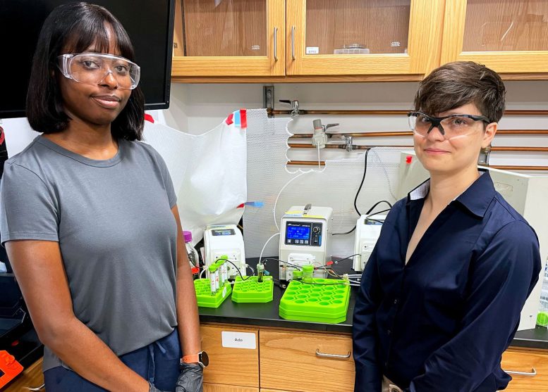 Aderiyike Aguda and Deborah Schmitt