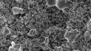 Advanced Carbon Nanomaterials