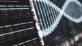 Advanced DNA Sequence Analysis Display