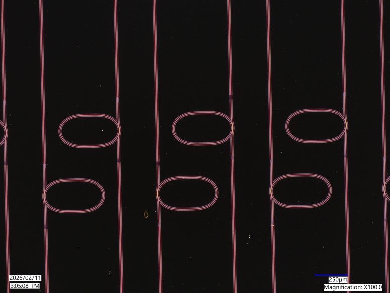 Advanced Optical Waveguide Microresonator