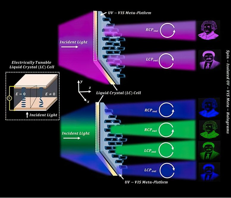 Advancements in Meta Holographic Display Enable Ultraviolet Domain Holograms Graphic