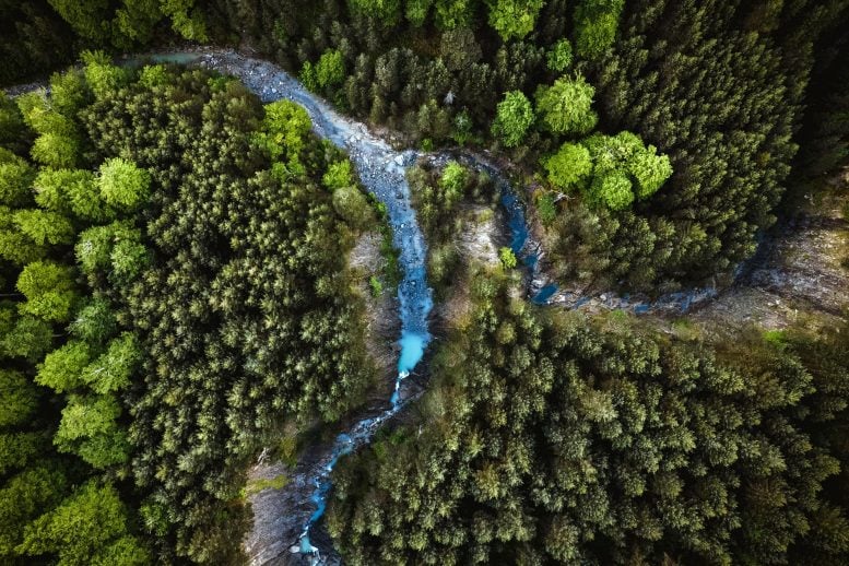 Aerial Forest Stream