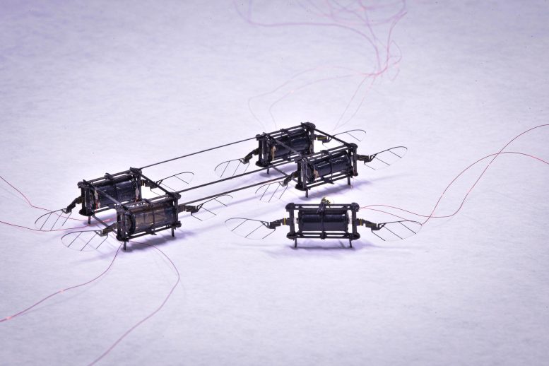 Aerial Microrobot Artificial Muscles