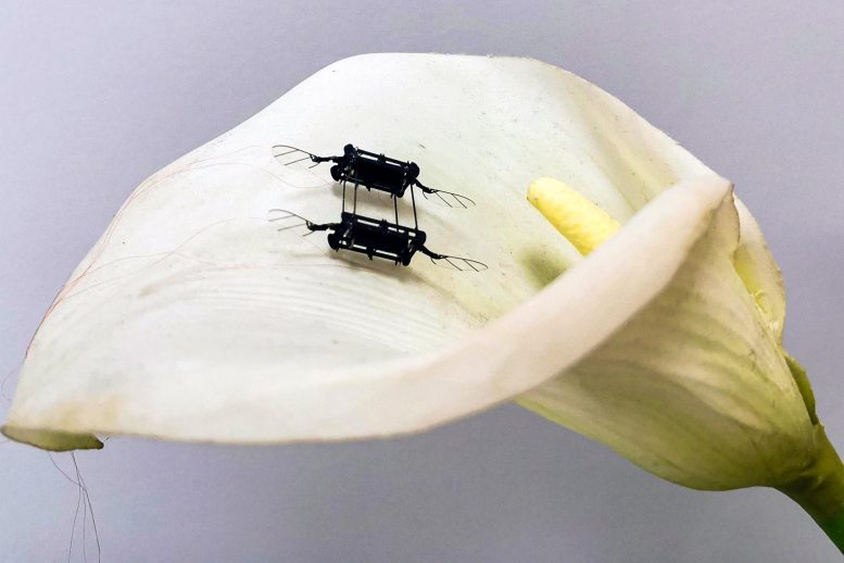 Aerial Microrobot Flower