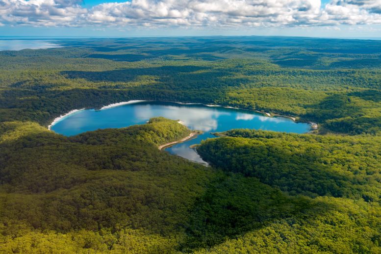 Aerial View Lake McKenzie Fraser Island