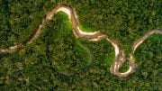 Aerial View of Amazon Rainforest
