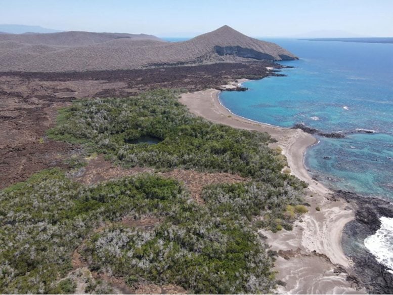 Aerial View of Playa Tortuga Negra