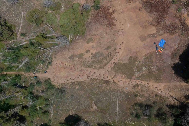 Aerial View of Sauropod Fossil Trackway