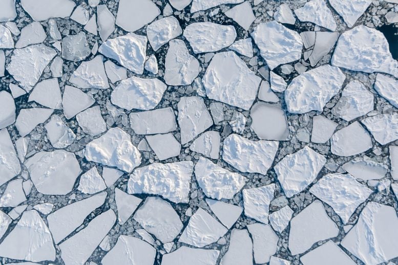 Aerial View of Young Arctic Sea Ice