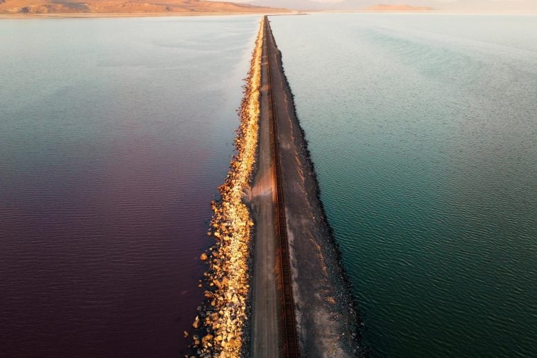 Scientists Just Discovered a Hidden Freshwater World Beneath the Great Salt Lake