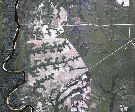 Aerial image of valley networks eroded by groundwater sapping into a sand plateau east of the Apalachicola River