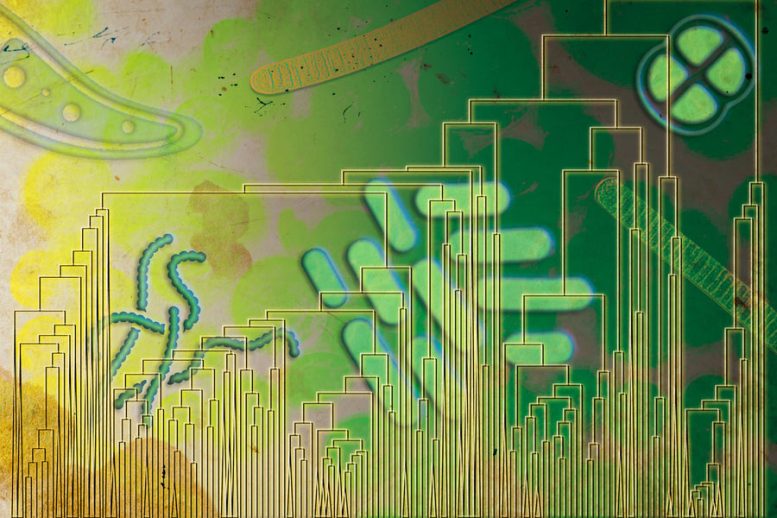 Aerobic Enzyme Sequences