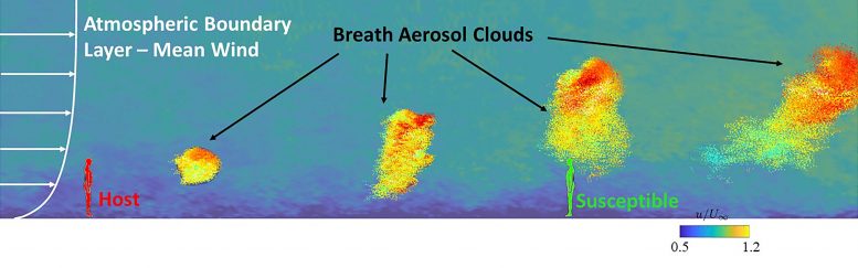 Aerosol Large-Eddy Simulation Results